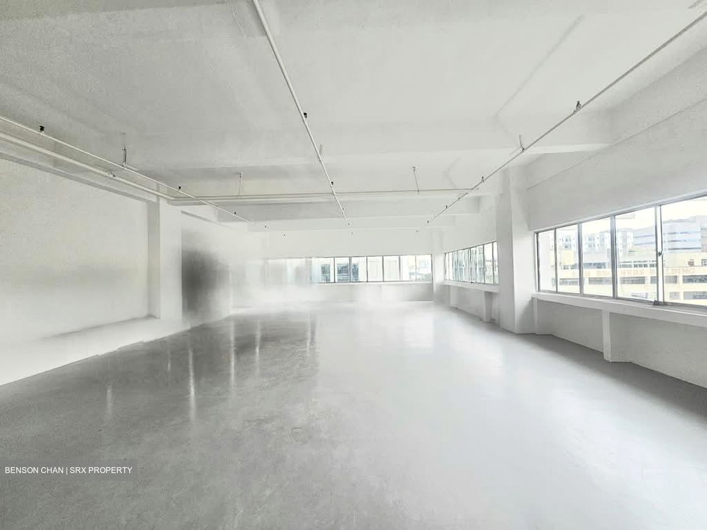 Perfect One (D13), Warehouse #555022441